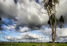 50米蝶泳张正伟以全场第五姿态 勇闯世界短池游泳锦标赛决赛.