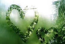 雷火电竞官网：广东半场险胜吉林！伯克+4首发齐发挥，贝兹利狂铁，张皓嘉没法看.